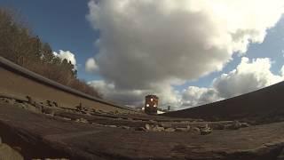 From an ants eye view