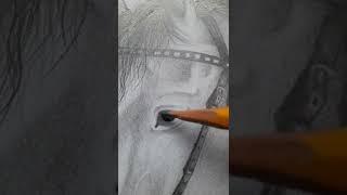 #drawing #drawings #horse #horsedrawing #pencildrawing #pencilsketches 