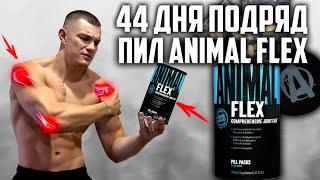 44 ДНЯ ПОДРЯД ПИЛ ANIMAL FLEX, ВОТ ЧТО ВЫШЛО!