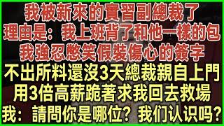 我被新來的實習副總裁了！理由是：我上班背了和他一樣的包！我強忍憋笑假裝傷心的簽字！不出所料還沒3天總裁親自上門！用3倍高薪跪著求我回去救場！我：請問你是哪位？我們認識嗎？#為人處世#生活經驗#情感故事