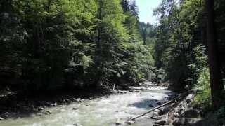 Breitachklamm  Oberstdorf Tiefenbach