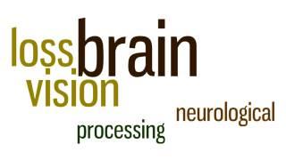 Strategies for Success: Working with Children with Cerebral/Cortical Visual Impairment (CVI)