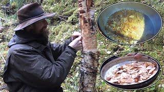 Survive To The End In The Wild And Win $500,000! To Stave Off Hunger, He Made A Feast From Tree Bark