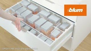 ORGA-LINE cross and lateral divider: inner dividing system for high fronted pull-outs | Blum