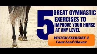 5 Great Gymnastic Exercises to Improve Your Horse - Four Leaf Clover