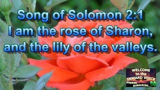 Time Lapse flowers with Shofar music and Bible verses about flowers || Blooming flowers time lapse