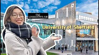 【英國大學Vlog】參觀University of Sheffield，校園竟然有無門升降機？｜Sheffield City景點配套｜大學宿舍room tour #sheffield #英國大學