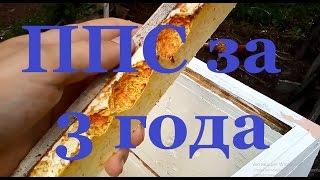улей из пенополистирола  своими руками три года эксплуатации
