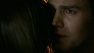 Stefan said something to me before we aparted | Tvd Stelena Season 8 episode 16