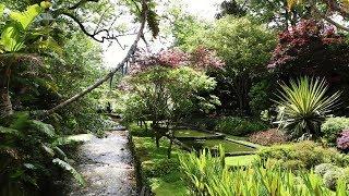 Naturaleza hermosa - Flores y campos