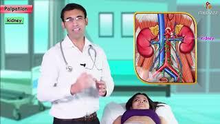 Abdominal examination - Inspection, Auscultation, Palpation, and Percussion