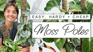 DIY Moss Pole for HUGE Growth  How To Make an Easy + Effective Moss Pole For Houseplants