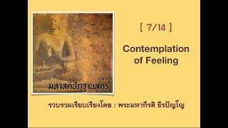 08 Contemplation of Feeling :  Mahasatipatthana Sutta - Body [ Maha Sati ]  :  Dhirapañño Bhikkhu