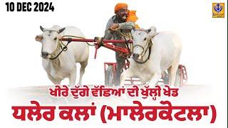 [Live] Dhaler Kalan | Malerkotla | ਖੀਰੇ ਦੁੱਗੇ ਵੱਛਿਆਂ ਦੀ ਖੁੱਲ੍ਹੀ ਖੇਡ | Ox Races | 10 Dec 2024