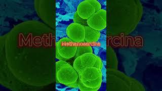 Кто бы мог подумать? #мистика #факты #шортс #интересно