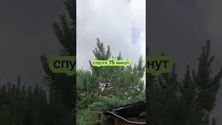 #садовод любитель ‍