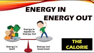 Energy In Energy Out Fitness Activity