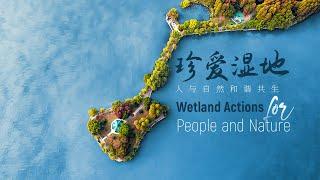 保护湿地：共同守护美丽的家园 Protect wetlands, protect our common planet