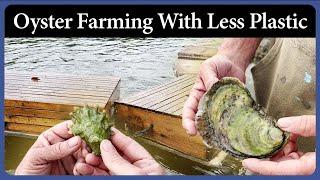 Oyster Farming With Less Plastic - Episode 318 - Acorn to Arabella: Journey of a Wooden Boat