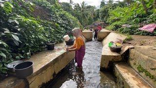 Indah nya kehidupan Warga Pedesaan, Teteh Cantik panen Kangkung