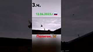 3.ч. Голуби Россия  12.06.2023.г. Полигон. ️