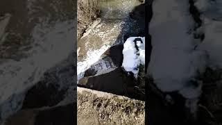 Бурлят ручьи! Журчат ручьи! Наконец-то, весна!