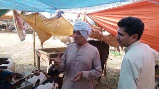 Eid ul Azha  sunnat e Ibrahim 29 June 2023 Thursday