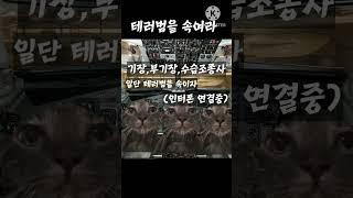 대한항공 F27기 납북 미수사건-고양이 밈