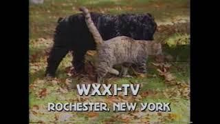 WXXI-TV ID, 1987