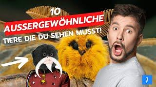 10 einzigartige Tiere, von denen du nicht glauben wirst, dass sie existieren... !