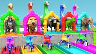 New 5 Giant Duck Cartoon, Elephant Lion Gorilla Dinosaur Buffalo 3d Animal Long Slide Game