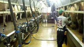 TRANS Iowa Low Cost Milking Parlor - Part 1