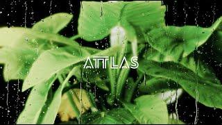 ATTLAS - Out Here Together Mix