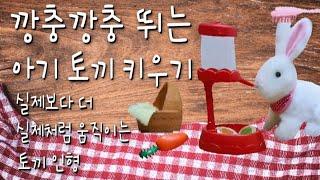 [리뷰] #shorts - 깡충깡충 뛰는 아기 토끼 키우기 - 실제보다 더 실제처럼 움직이는 토끼 인형