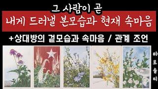 [타로카드/속마음] 그 사람의 본래 모습과 현재 나에 대한 속마음은? (+상대방의 겉과 속 / 관계 조언)