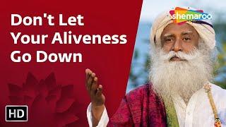 Don't Let Your Aliveness Go Down | Sadhguru | Shemaroo Spiritual Life