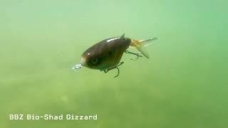 FishLab BBZ Bio-Shad Gizzard - Swim Action