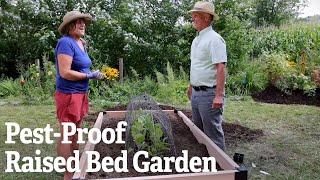 How to Pest-Proof Your Raised Bed Garden