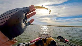 ZMAN MinnowZ - the best inshore bait!