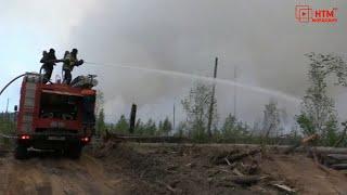 В Мордовии продолжают тушить заповедник имени Смидовича
