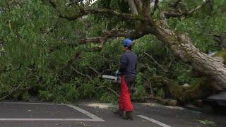 Cleanup begins after tornado touches down in NE Portland