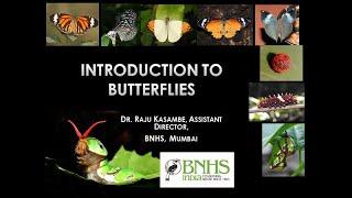 "Introduction to Butterflies" webinar Dr Raju Kasambe BNHS