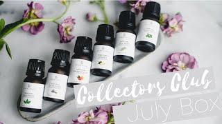 Sixth Scents Oils July Box