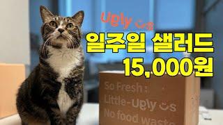 맛있는 야채, 과일을 먹을 만큼만 골라 보내주는 어글리어스 #샐러드#정기구독