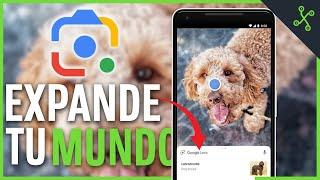 ¡No SABES lo que te PIERDES por no USARLO! Google Lens en 13 TRUCOS