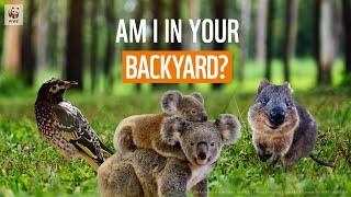 Who lives in your backyard?  | WWF-Australia