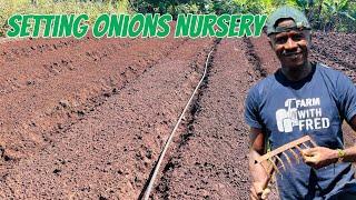 Onions farming: How to setup onions seedlings raising Nursery  (Epd 2)