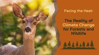 Facing the Heat: The Reality of Climate Change for Forests and Wildlife