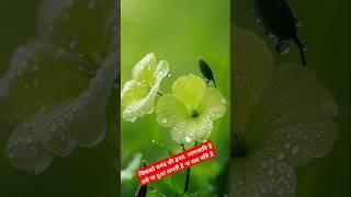  Best motivation quotes ।। जब दर्द सहने की आदत पड़ जाए तो.....#motivationalquotes​ #shortsfeed​