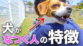 【知って得する】犬に懐かれる人の特徴12選！